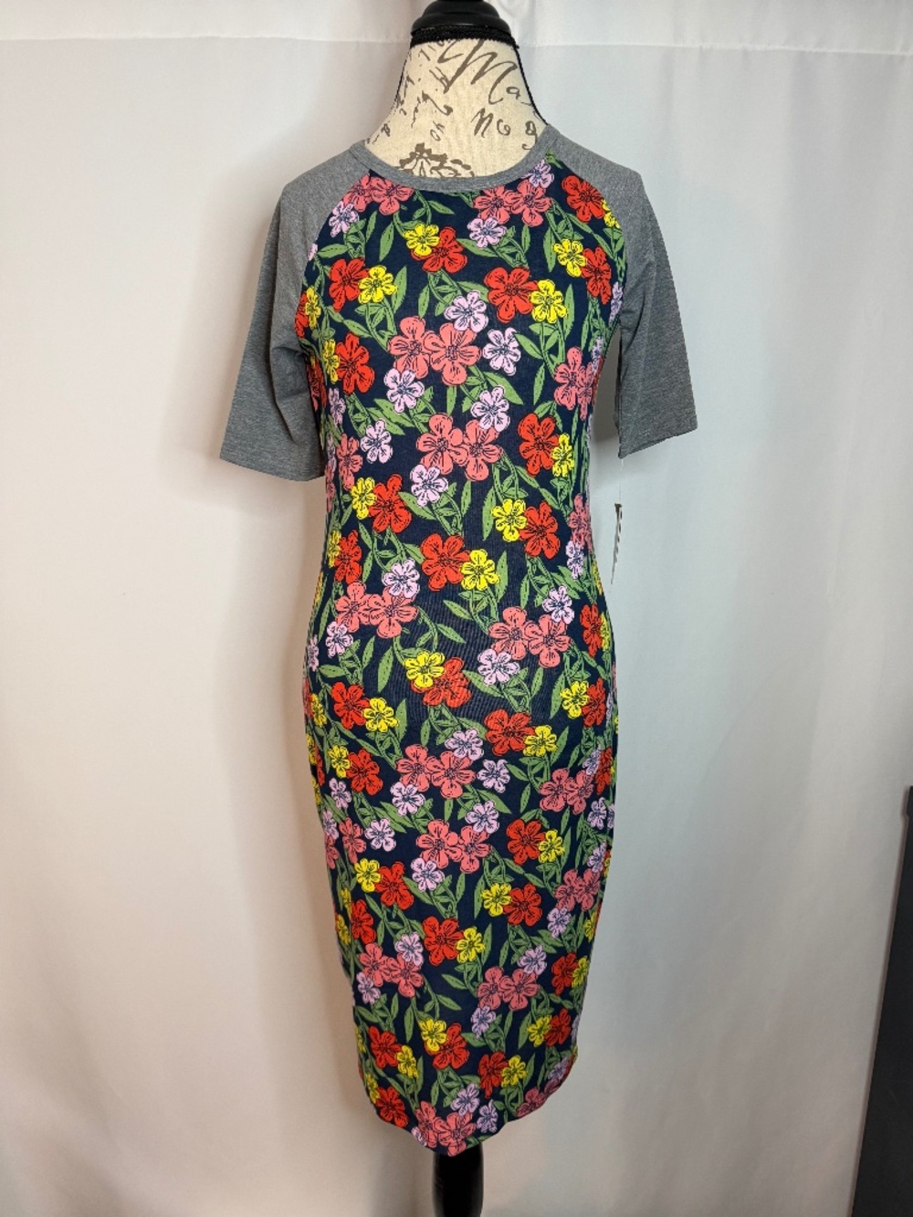 LuLaRoe Julia Dress, Small, NWT